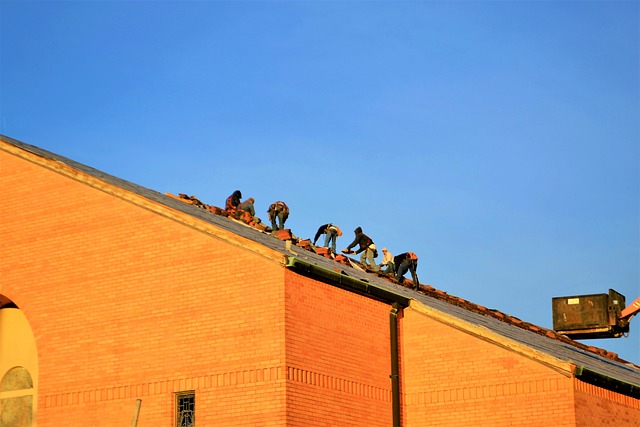 Roofer