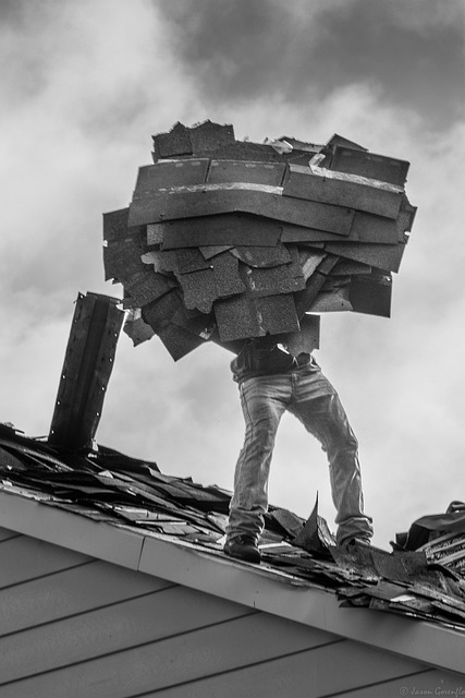 Roofer