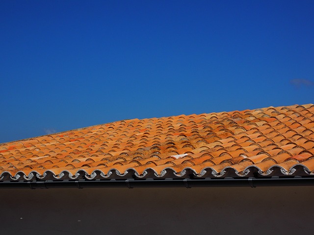 roof, roofer, 