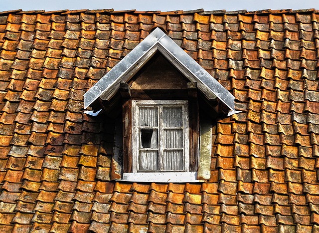Roofer