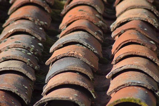 Roofer