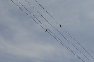electrician-640x480-35092018.jpeg