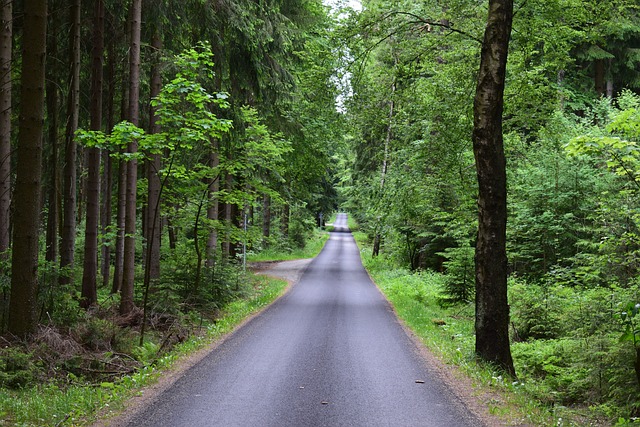 asphalt contractors, asphalt repair