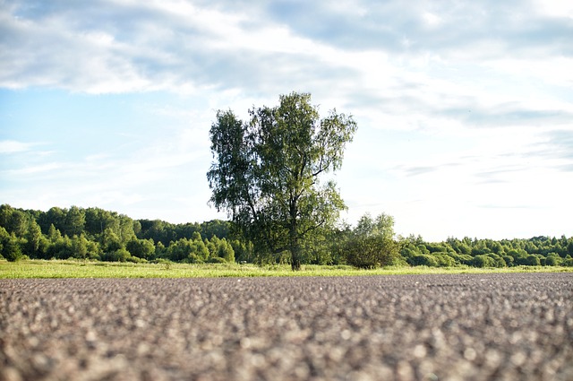 asphalt contractors, asphalt repair