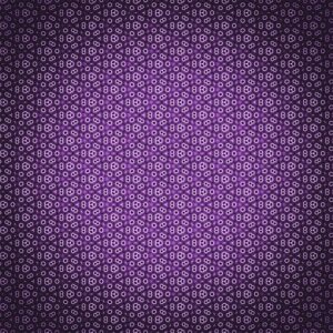 orlando-carpet-installers-orlando-carpet-640x480-8424225.jpeg