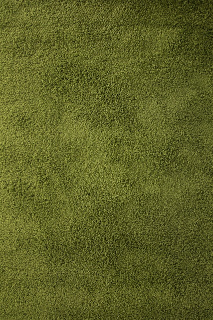 Orlando carpet installers, Orlando carpet installation, orlando carpet installation company