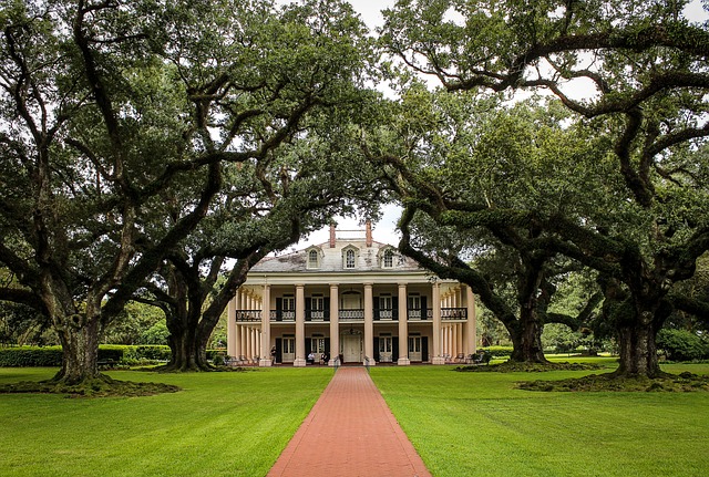plastic-surgeons-in-nola-plastic-surgery-640x480-75052581.jpeg