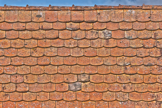 roofer-640x480-35363194.jpeg