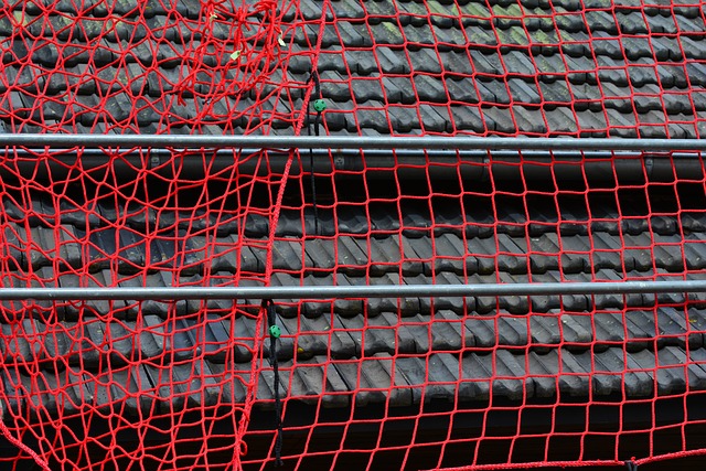 roofer-640x480-81783659.jpeg