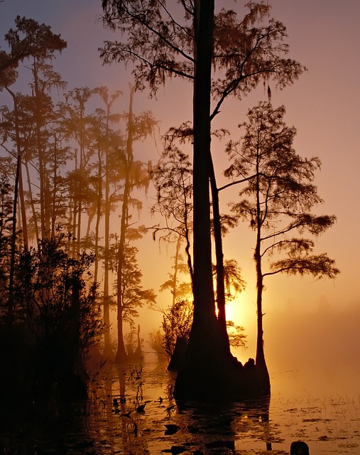 roofers in florida, benefits of getting a roofer, roofing company, trusted roofing materials