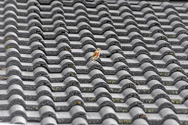 roofers in florida, benefits of getting a roofer, roofing company, trusted roofing materials