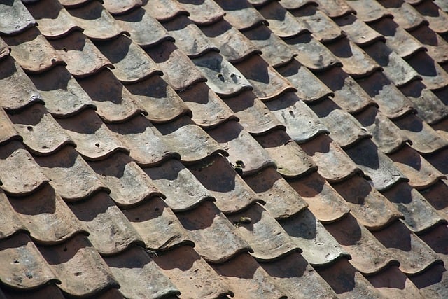 roofers-in-florida-benefits-of-getting-a-640x480-27322217.jpeg