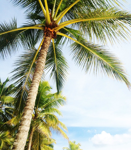 roofers in florida, benefits of getting a roofer, roofing company, trusted roofing materials