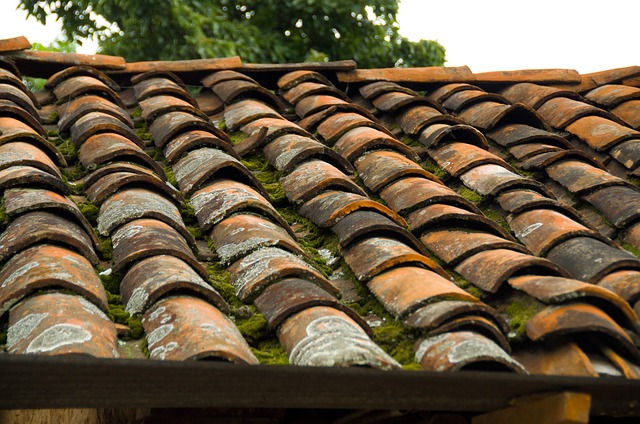 roofers-in-florida-benefits-of-getting-a-640x480-56323023.jpeg