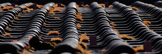 roofers in florida, benefits of getting a roofer, roofing company, trusted roofing materials