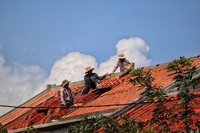 Roofer