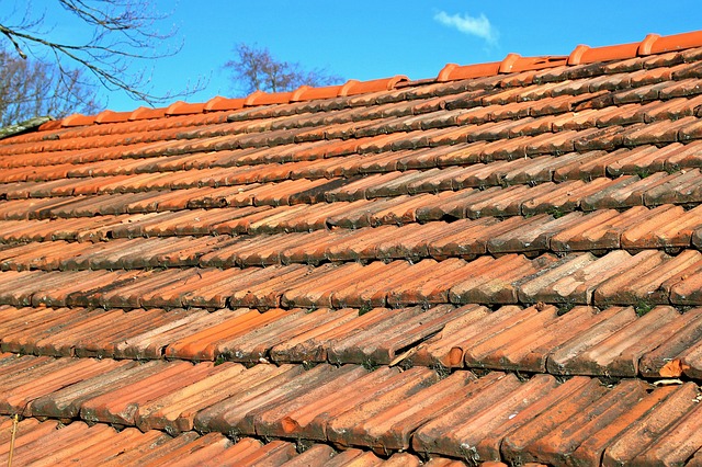 Roofer