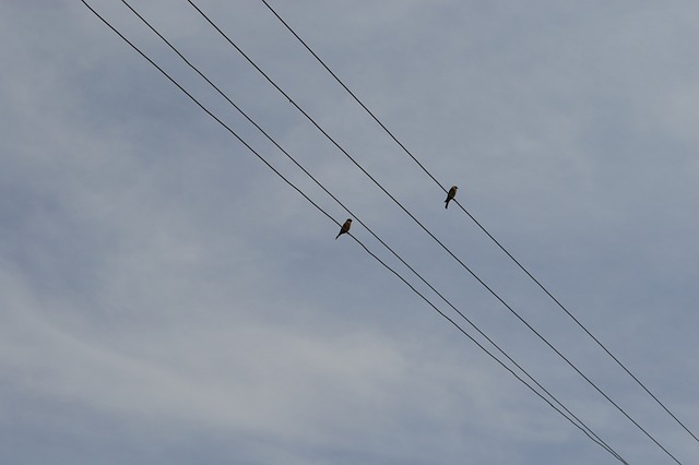 Electrician