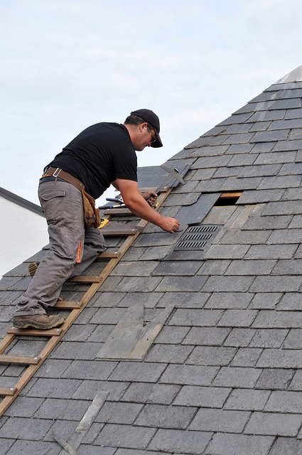 Roofer