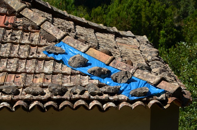 roofer-640x480-59692256.jpeg