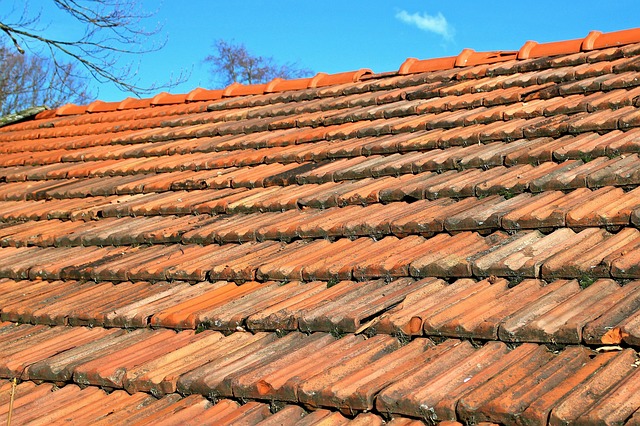 Roofer