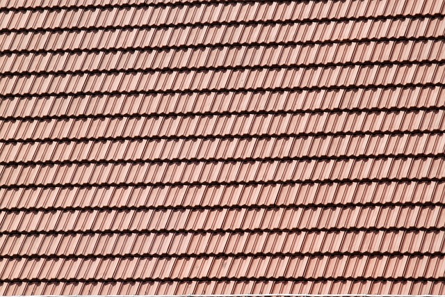Roofer