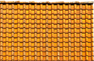 roofer-640x480-51878725.png