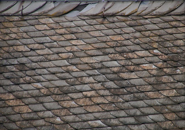 Roofer