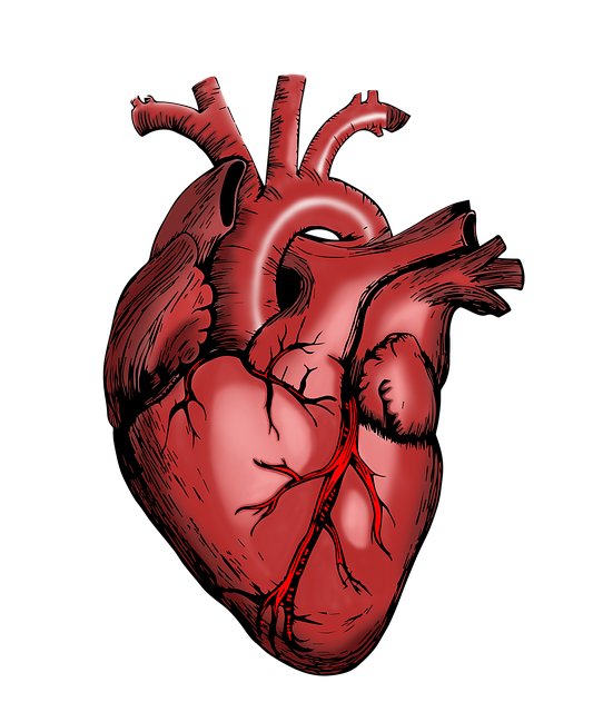 holistic health medicine prescription