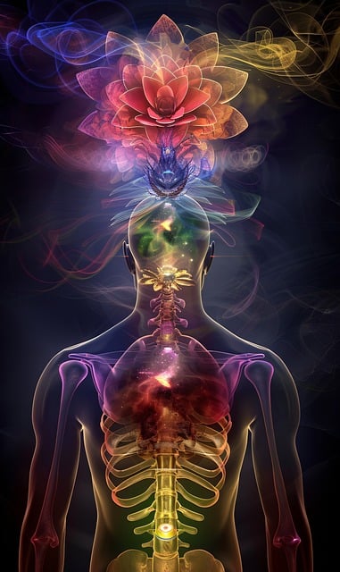 holistic-health-medicine-prescription-640x480-4428460.jpeg