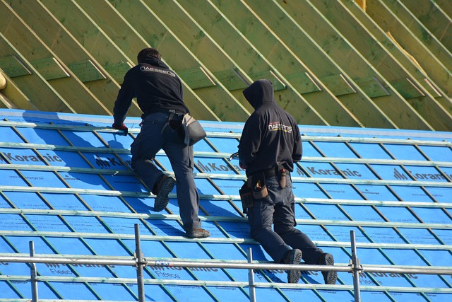 Roofer
