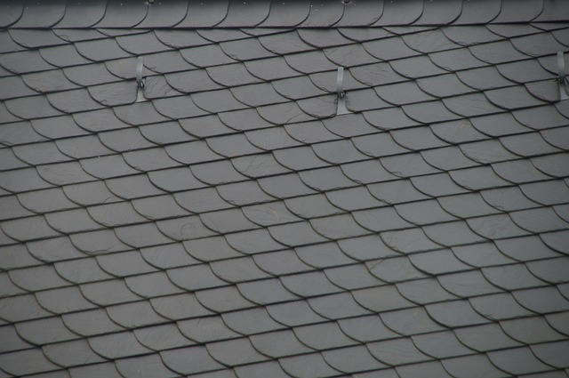 Roofer
