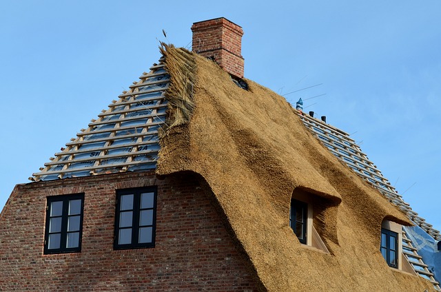 roofer-640x480-85110564.jpeg