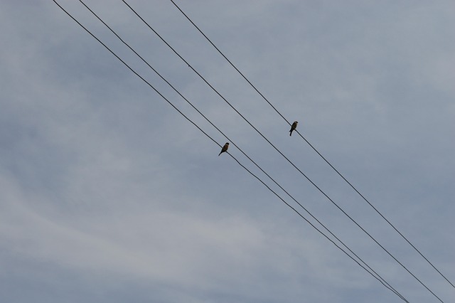 electrician-640x480-51606141.jpeg