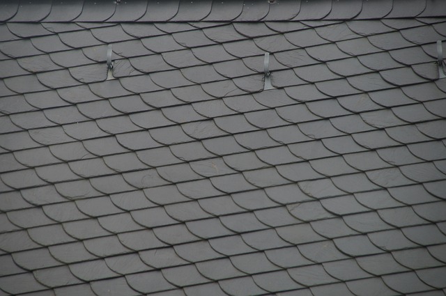 Roofer