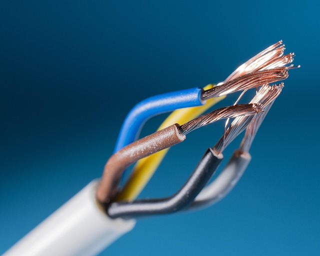 Electrician