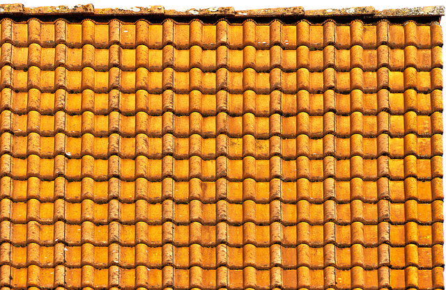 Roofer
