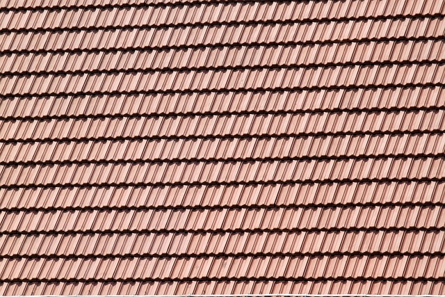 Roofer