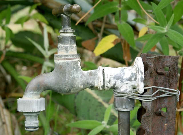 plumber-640x480-19336202.jpeg