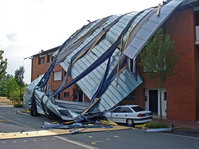 Roofer