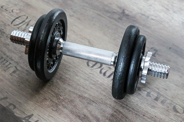 gym equiments