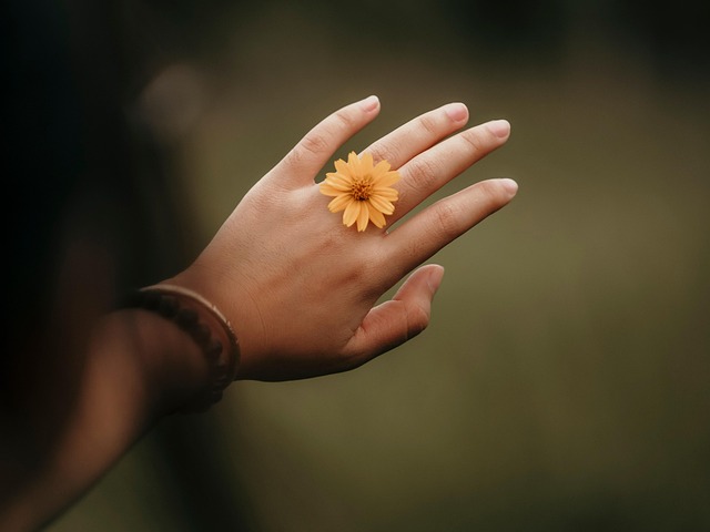 jewelries
