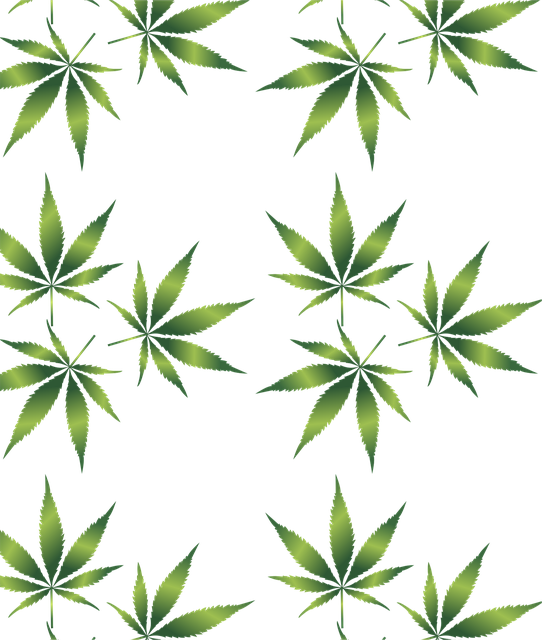 medical marijuana in Louisiana