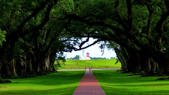 safe medical marijuana in Louisiana
