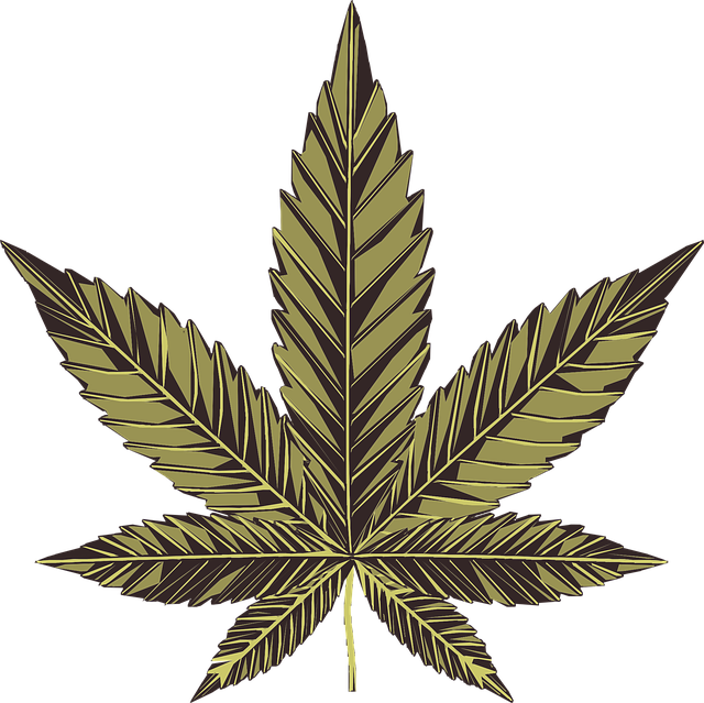 safe medical marijuana in Louisiana
