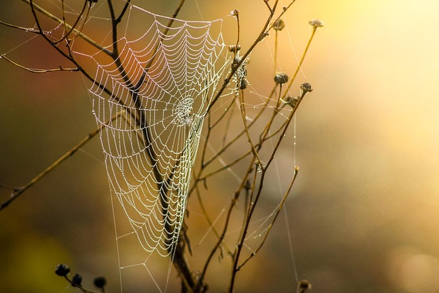 web-design-in-san-antonio-640x480-26970775.jpeg